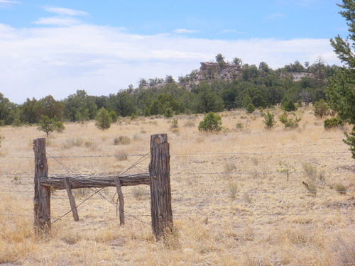 Roadside View on the GDMBR, Gila NF, NM..